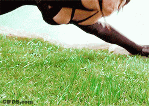 A Woman In A Black Bra And Black Stockings Is Doing Push Ups In The Grass GIF