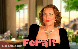 A Woman In A Black Dress Says Feral In Pink Letters GIF