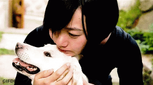 A Woman In A Black Shirt Is Kissing A White Dog On The Nose GIF