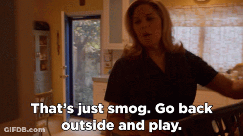 A Woman In A Black Shirt Says That 'S Just Smog Go Back Outside And Play GIF