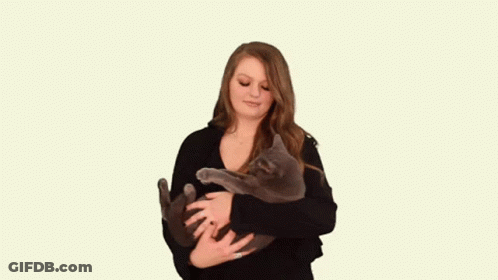 A Woman In A Black Sweater Is Holding A Gray Cat In Her Arms . GIF
