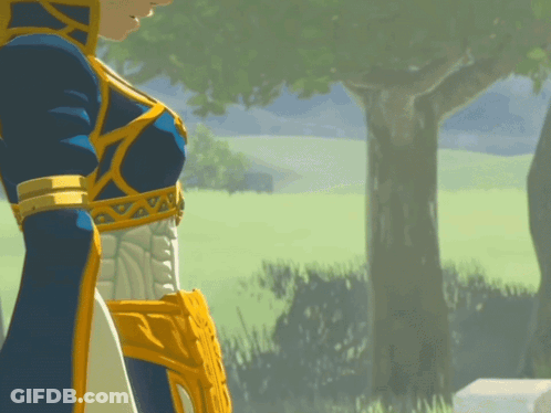 A Woman In A Blue And Gold Outfit Is Standing In A Field With Trees In The Background GIF