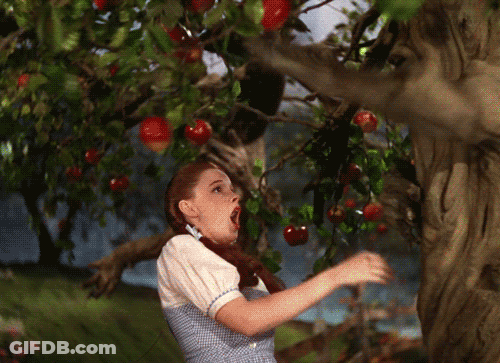 A Woman In A Blue And White Striped Dress Is Eating Apples From A Tree GIF