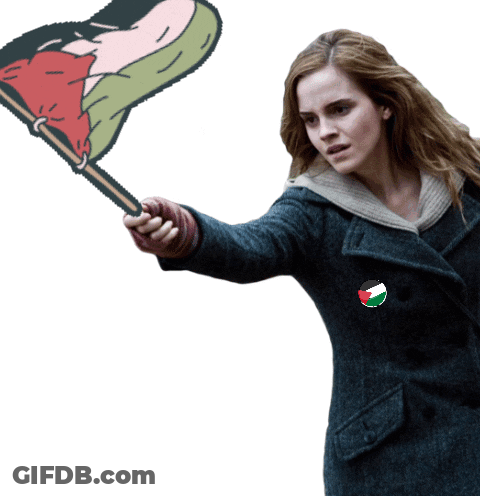A Woman In A Blue Coat Is Holding A Flag With A Drawing Of A Person On It GIF