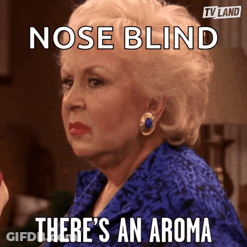 A Woman In A Blue Dress Has A Meme That Says Nose Blind There 'S An Aroma GIF
