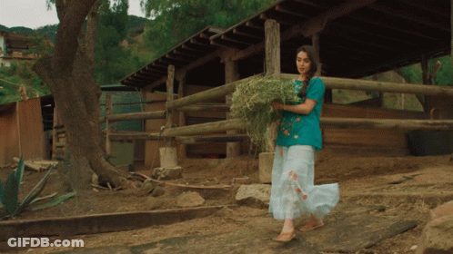 A Woman In A Blue Shirt And White Skirt Is Carrying A Bucket Of Hay GIF