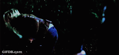 A Woman In A Blue Shirt Is Running Through A Dark Forest GIF