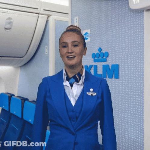 A Woman In A Blue Suit With The Klm Logo On The Wall GIF
