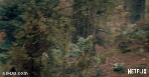 A Woman In A Brown Dress Is Running Through A Forest . GIF
