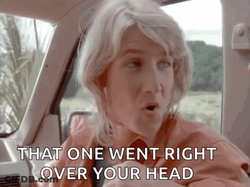 A Woman In A Car With The Words That One Went Right Over Your Head Above Her GIF