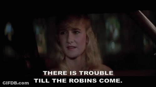 A Woman In A Car With The Words " There Is Trouble Till The Robins Come " Below Her GIF