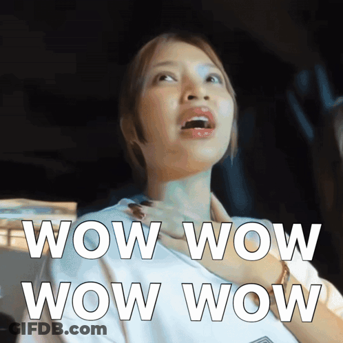 A Woman In A Car With The Words Wow Wow Wow Wow On Her Chest GIF