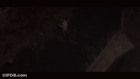 A Woman In A Costume Is Holding A Sword And Shield In A Video Game . GIF