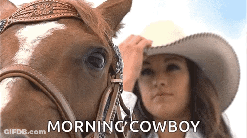 A Woman In A Cowboy Hat Is Standing Next To A Horse With The Words Morning Cowboy Written On The Bottom GIF
