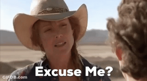 A Woman In A Cowboy Hat Is Talking To A Man In The Desert And Says Excuse Me ? GIF