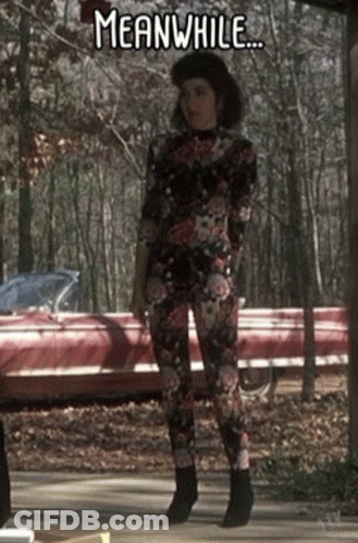 A Woman In A Floral Jumpsuit Is Standing In Front Of A Red Car With The Words Meanwhile Below Her GIF