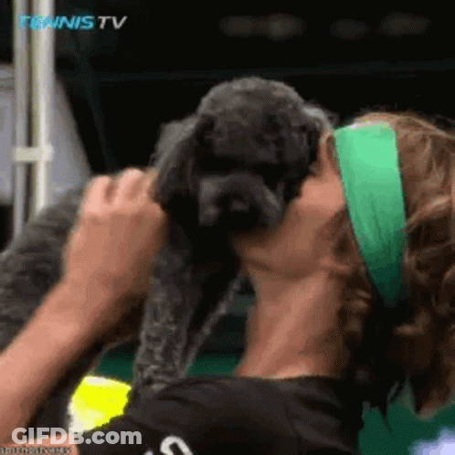 A Woman In A Green Headband Is Kissing A Small Dog . GIF