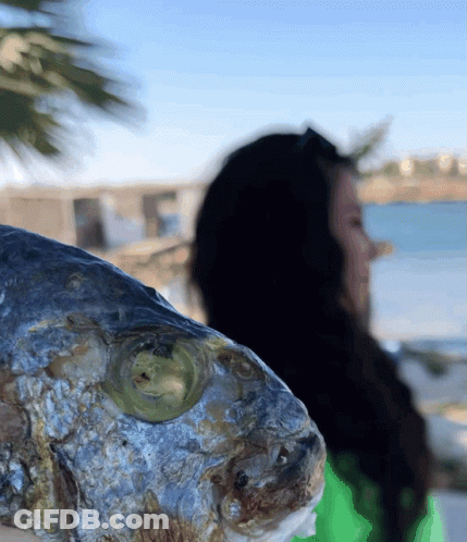 A Woman In A Green Shirt Is Holding A Fish With A Green Eye GIF