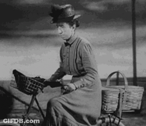 A Woman In A Hat Is Riding A Bicycle With A Basket On The Front . GIF
