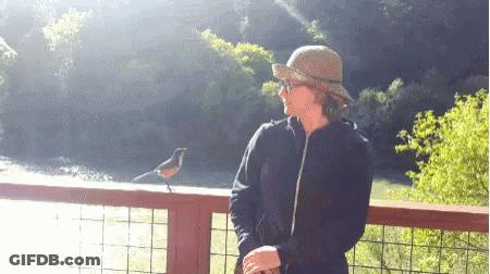 A Woman In A Hat Stands Next To A Bird On A Railing Overlooking A River GIF