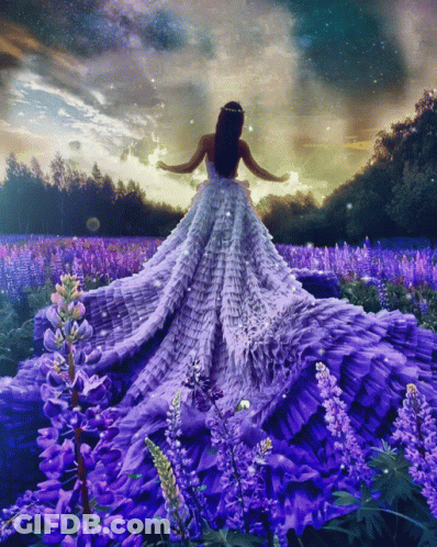 A Woman In A Long Purple Dress Is In A Field Of Purple Flowers GIF