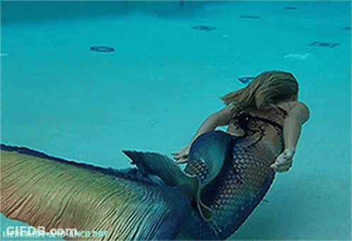 A Woman In A Mermaid Costume Is Swimming In The Water GIF