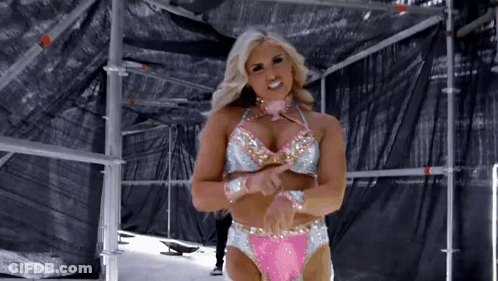 A Woman In A Pink And Silver Wrestling Outfit Is Standing In A Ring . GIF