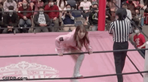 A Woman In A Pink Dress Is Standing In A Wrestling Ring With A Referee . GIF
