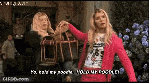 A Woman In A Pink Jacket Is Holding A Poodle While Another Woman Holds A Dog Carrier . GIF