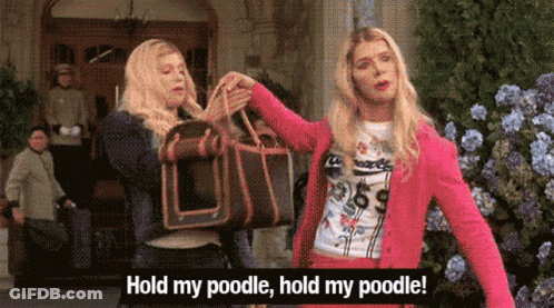 A Woman In A Pink Jacket Is Holding A Poodle While Another Woman Holds A Purse .. GIF