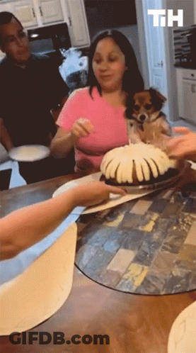 A Woman In A Pink Shirt Is Holding A Dog In Her Lap While A Person Holds A Cake With The Letters Th Above It GIF