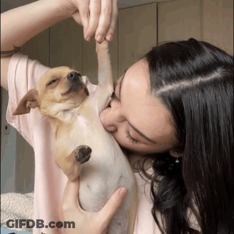 A Woman In A Pink Shirt Is Kissing A Small Dog On The Nose GIF