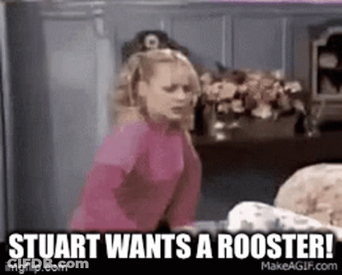 A Woman In A Pink Shirt Is Standing Next To A Dog In A Room And Says Stuart Wants A Rooster . GIF