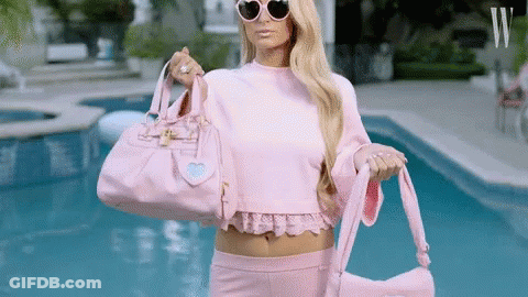 A Woman In A Pink Sweater And Sunglasses Is Holding A Pink Bag And A Pink Duffel Bag . GIF