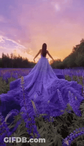 A Woman In A Purple Dress Is Walking Through A Field Of Purple Flowers . GIF