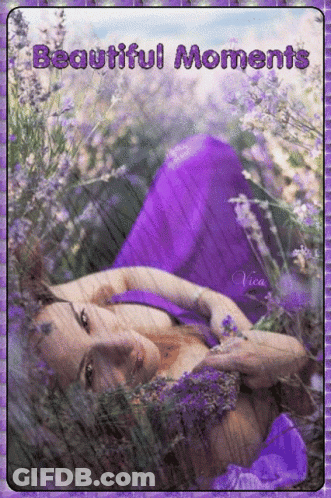 A Woman In A Purple Dress Laying In A Field Of Lavender Flowers GIF