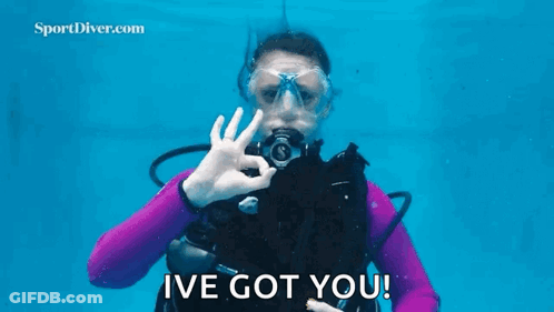 A Woman In A Purple Wetsuit Is Holding A Starfish In Her Hand Underwater . GIF