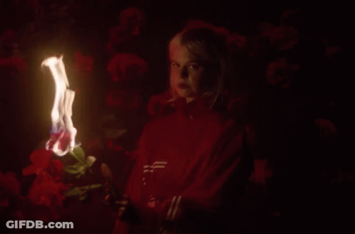 A Woman In A Red Adidas Sweatshirt Holds A Burning Flower GIF