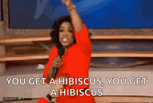 A Woman In A Red Dress Is Holding A Microphone And Says You Get A Hibiscus , You Get A Hibiscus GIF
