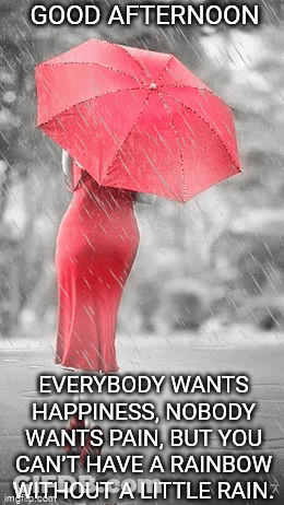 A Woman In A Red Dress Is Holding An Umbrella In The Rain . GIF