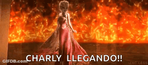A Woman In A Red Dress Is Standing In Front Of A Fire With The Words Charly Llegando ! GIF