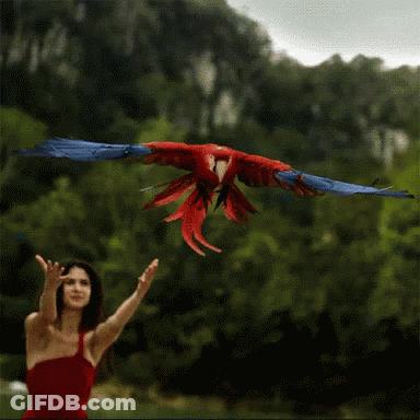 A Woman In A Red Dress Throws A Red Parrot GIF