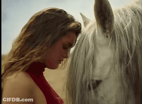A Woman In A Red Sweater Looks Down At Her White Horse GIF