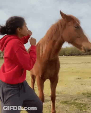 A Woman In A Red Sweatshirt Stands Next To A Brown Horse GIF