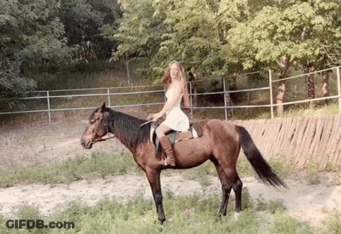 A Woman In A White Dress Is Riding A Horse In A Field . GIF