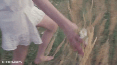 A Woman In A White Dress Is Walking Through A Field Of Tall Grass Holding A Flower In Her Hand . GIF