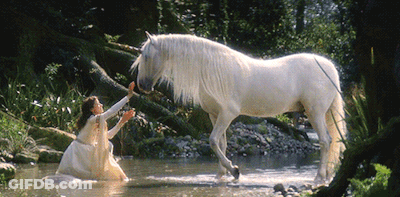 A Woman In A White Dress Reaches Out To A White Horse In A Stream GIF