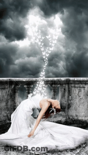 A Woman In A White Dress With A Bunch Of Butterflies Coming Out Of Her Dress GIF