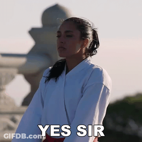 A Woman In A White Karate Uniform Says " Yes Sir " GIF