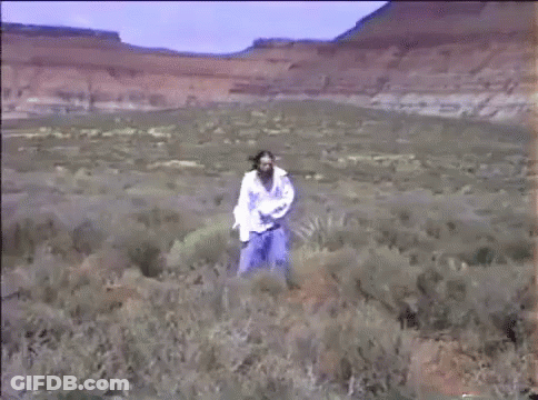 A Woman In A White Shirt Is Walking Through A Field Of Tall Grass . GIF